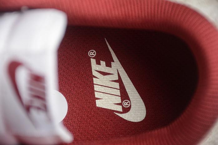 Nike Dunk Low PRM Vintage Team Red  FJ4555-100