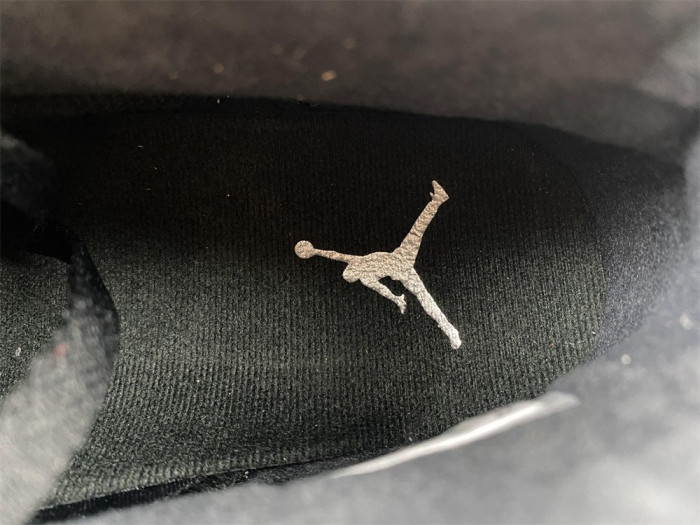 Air Jordan 6 Metallic Silver Chrome DX2836-001