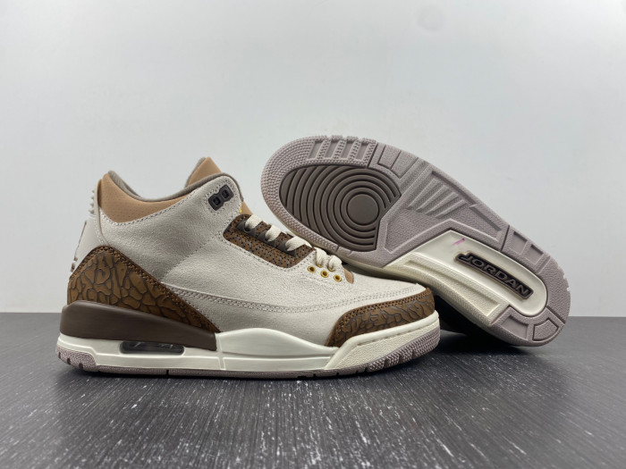 Air Jordan 3 Palomino CT8532-102