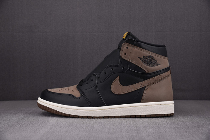 Air Jordan 1 High OG "Palomino" DZ5485-020