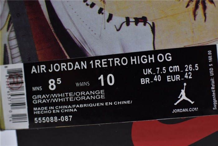 Air Jordan 1  Element 87 x 555388-602
